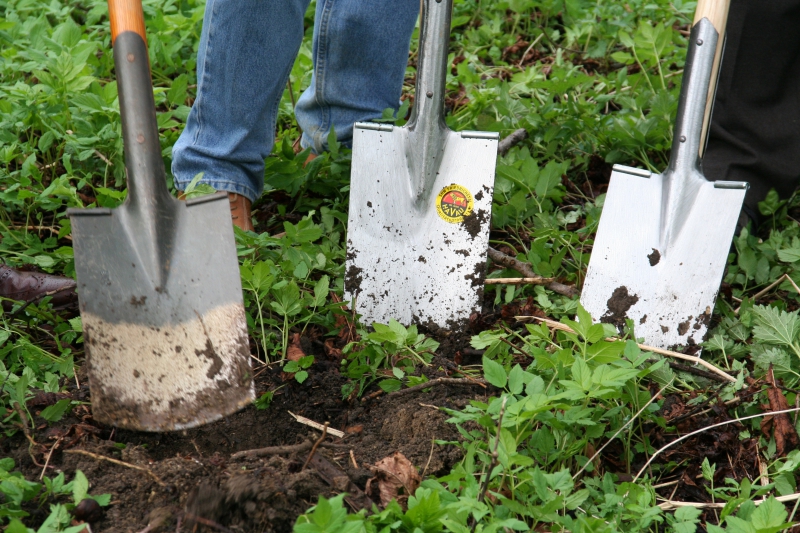 pepiniere-BRIANCONNET-min_work-lawn-flower-tool-green-backyard-1103633-pxhere.com